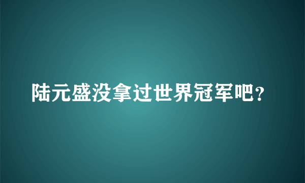 陆元盛没拿过世界冠军吧？