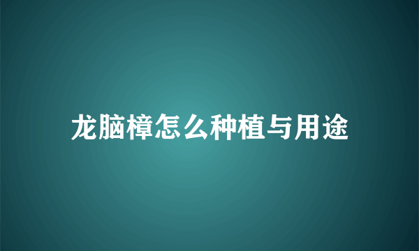 龙脑樟怎么种植与用途