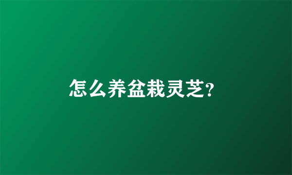 怎么养盆栽灵芝？