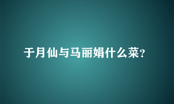 于月仙与马丽娟什么菜？