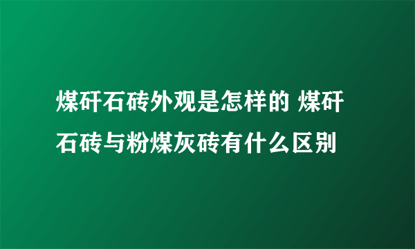 煤矸石砖外观是怎样的 煤矸石砖与粉煤灰砖有什么区别