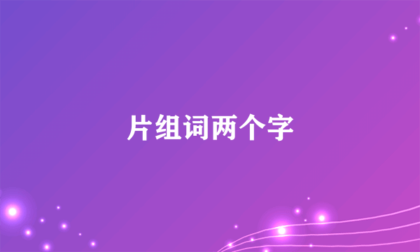 片组词两个字