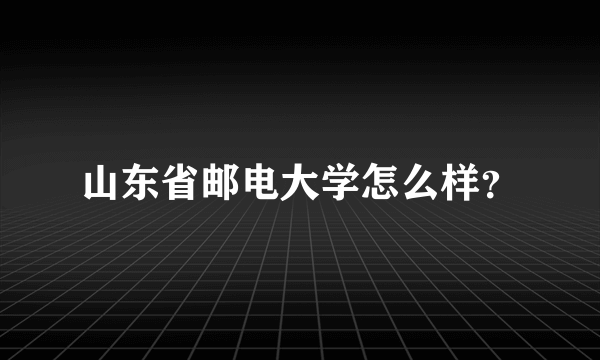 山东省邮电大学怎么样？