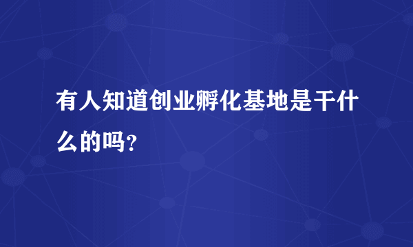 有人知道创业孵化基地是干什么的吗？