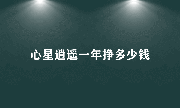 心星逍遥一年挣多少钱