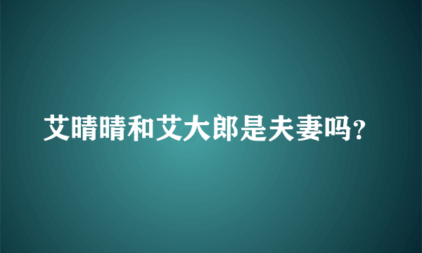 艾晴晴和艾大郎是夫妻吗？