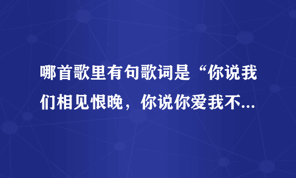 哪首歌里有句歌词是“你说我们相见恨晚，你说你爱我不够勇敢”