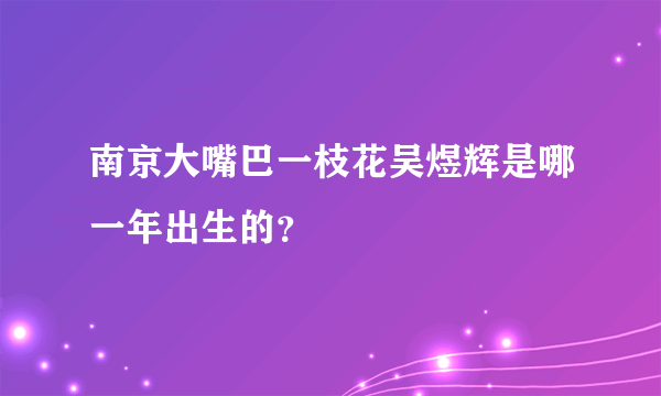 南京大嘴巴一枝花吴煜辉是哪一年出生的？