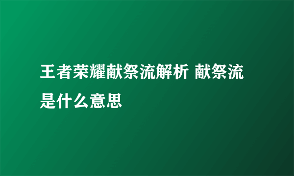 王者荣耀献祭流解析 献祭流是什么意思