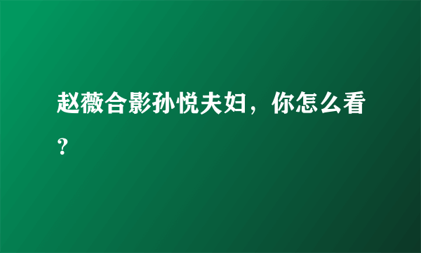 赵薇合影孙悦夫妇，你怎么看？