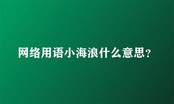 网络用语小海浪什么意思？