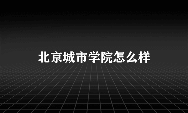 北京城市学院怎么样