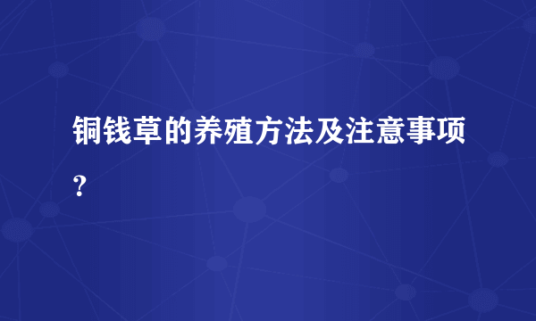 铜钱草的养殖方法及注意事项？