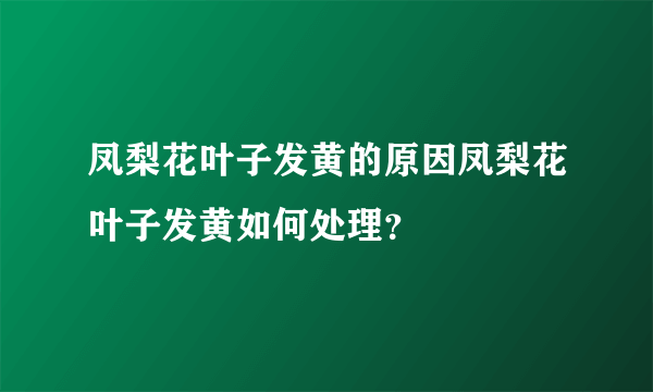 凤梨花叶子发黄的原因凤梨花叶子发黄如何处理？