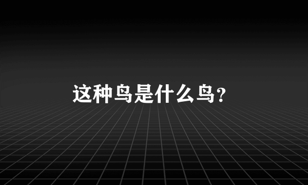 这种鸟是什么鸟？