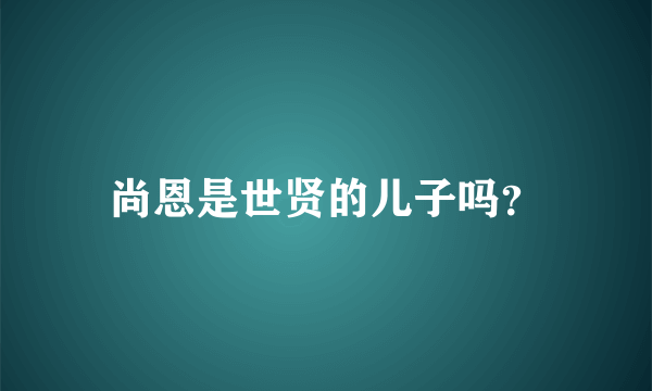 尚恩是世贤的儿子吗？