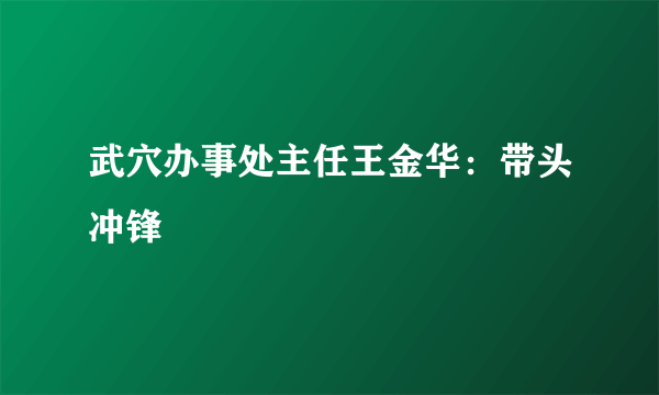 武穴办事处主任王金华：带头冲锋