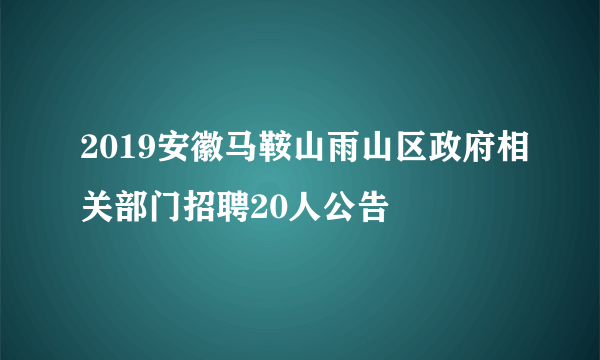 2019安徽马鞍山雨山区政府相关部门招聘20人公告