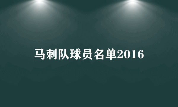 马刺队球员名单2016