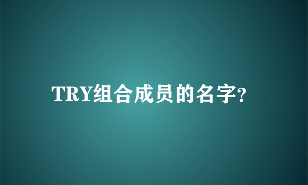 TRY组合成员的名字？