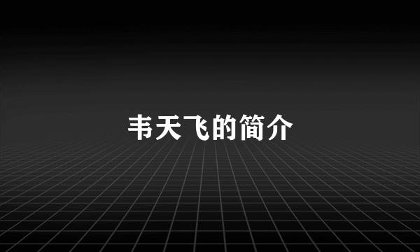 韦天飞的简介