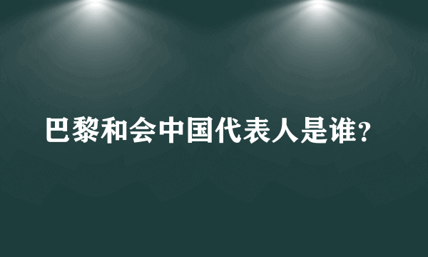 巴黎和会中国代表人是谁？