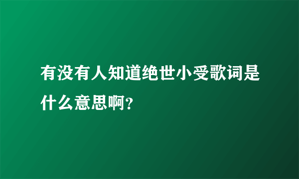 有没有人知道绝世小受歌词是什么意思啊？