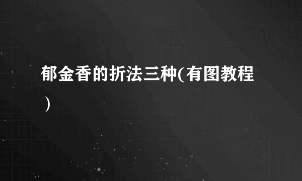 郁金香的折法三种(有图教程）