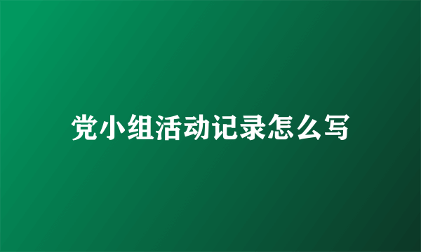 党小组活动记录怎么写