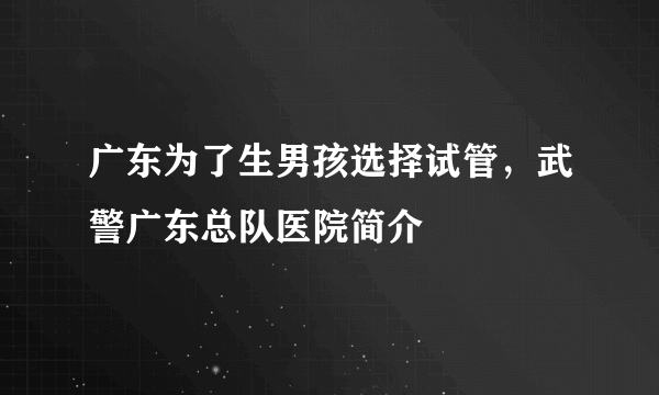 广东为了生男孩选择试管，武警广东总队医院简介