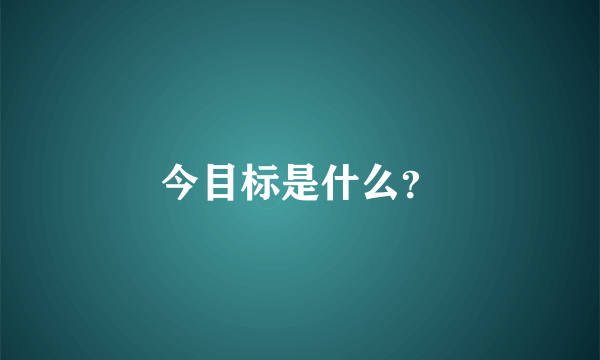 今目标是什么？