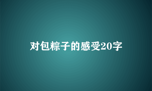 对包粽子的感受20字