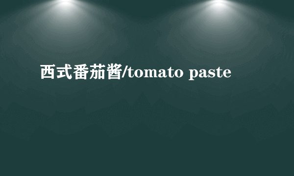 西式番茄酱/tomato paste