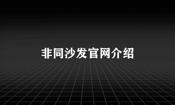 非同沙发官网介绍