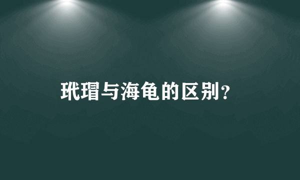 玳瑁与海龟的区别？