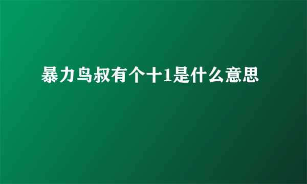 暴力鸟叔有个十1是什么意思