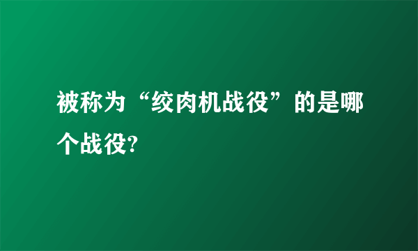 被称为“绞肉机战役”的是哪个战役?