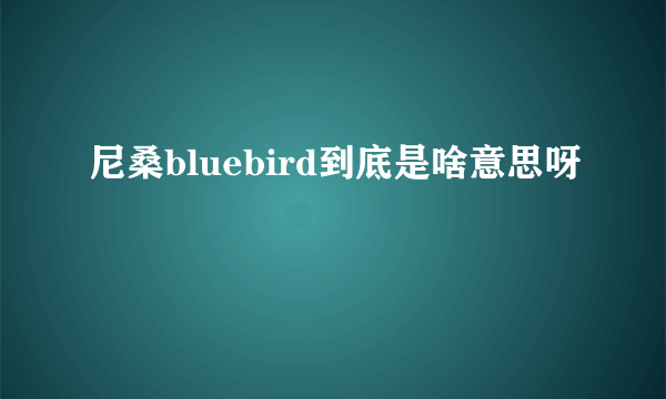 尼桑bluebird到底是啥意思呀