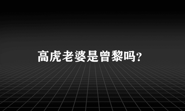 高虎老婆是曾黎吗？