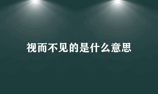 视而不见的是什么意思