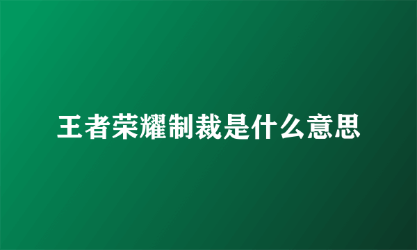 王者荣耀制裁是什么意思