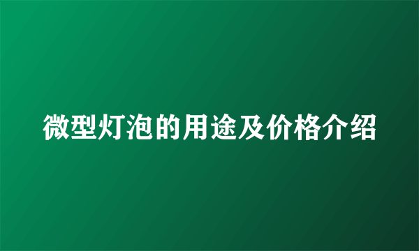 微型灯泡的用途及价格介绍