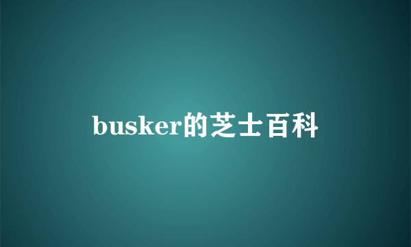 busker的芝士百科