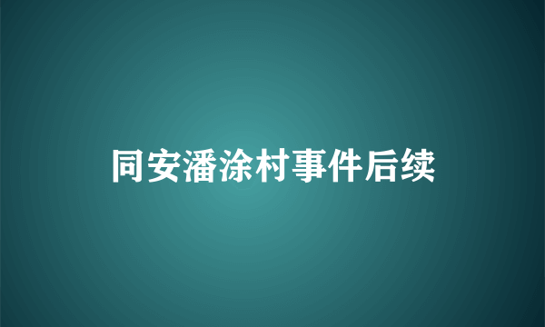 同安潘涂村事件后续