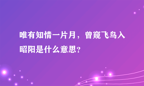 唯有知情一片月，曾窥飞鸟入昭阳是什么意思？