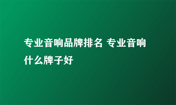 专业音响品牌排名 专业音响什么牌子好