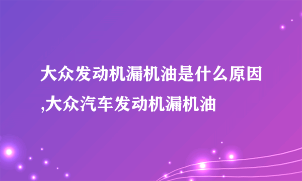 大众发动机漏机油是什么原因,大众汽车发动机漏机油