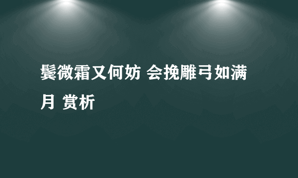 鬓微霜又何妨 会挽雕弓如满月 赏析