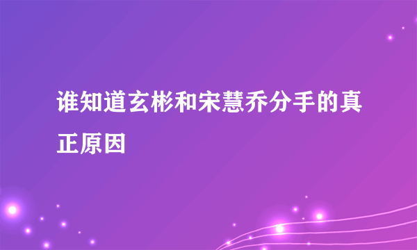 谁知道玄彬和宋慧乔分手的真正原因