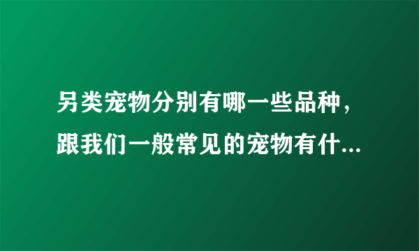 另类宠物分别有哪一些品种，跟我们一般常见的宠物有什么区别？